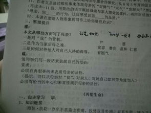 關(guān)于校園首尾呼應的作文300字