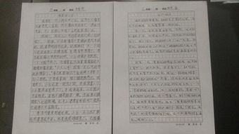 關(guān)于七彩校園的作文,我的七彩校園作文,七彩校園作文三年級