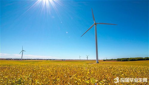 一篇寫(xiě)校園生活的作文700字作文