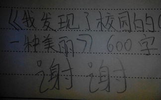 我發(fā)現校園的美怎么寫(xiě)作文