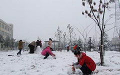 我愛(ài)冬天的校園作文600字作文