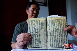 作文,校園里,新發(fā)現