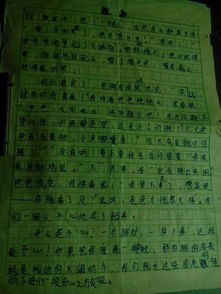 校園晚上的作文怎么寫(xiě)