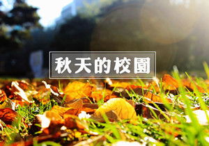秋天的校園寫(xiě)景500字作文
