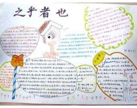 對校園里亂扔垃圾的作文