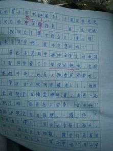 作文,校園,體育節