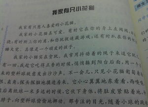 用總分總結構寫(xiě)校園一角作文