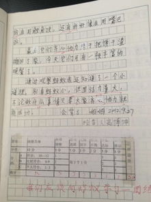 觀(guān)察校園作文400字