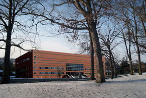 二級關(guān)于校園景色的作文