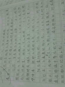 校園里的記憶作文150字,美麗又整潔的校園作文,我的美麗校園作文150字