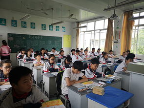 防校園欺凌心得體會(huì )作文600字,拒絕校園欺凌心得體會(huì )作文400字,校園欺凌心得體會(huì )作文300字