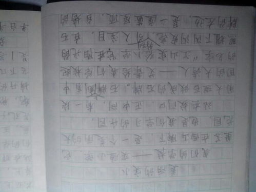 我的校園移步換景作文400字,我的校園移步換景作文,我的校園移步換景的寫(xiě)景作文500字