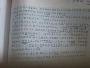 介紹校園里景物的作文400字