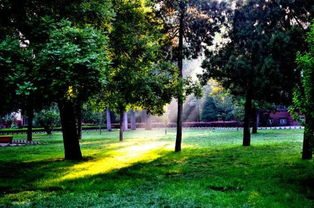 早晨,校園,文三