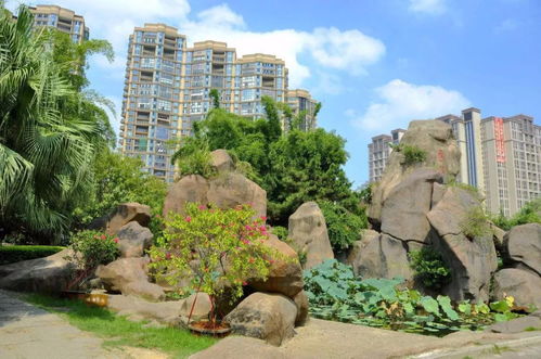 有關(guān)假山校園的風(fēng)景線(xiàn)作文