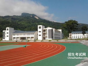 有關(guān)新校園的作文