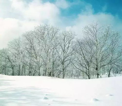 校園雪景作文開(kāi)頭結尾