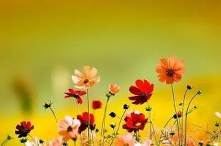 校園格?；ㄗ魑?00