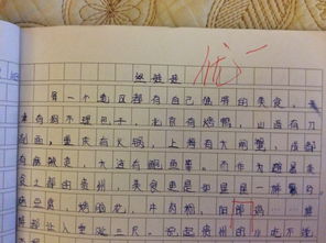 作文,寫(xiě)一篇,家鄉,校園