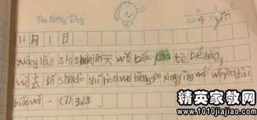 作文,運動(dòng)會(huì ),校園