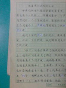 圍繞校園生活寫(xiě)的作文