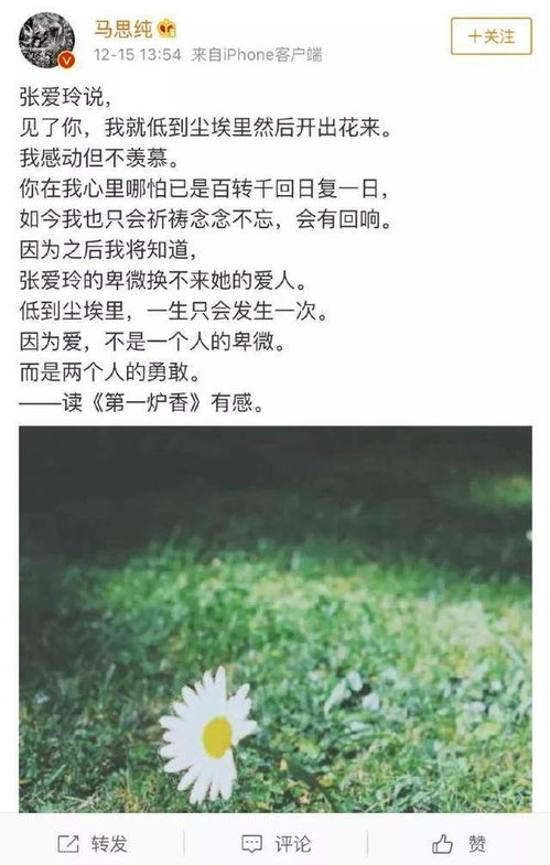 校園之星的作文,說(shuō)說(shuō)我的校園作文,校園之星評選活動(dòng)作文