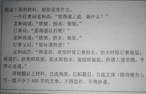 校園集體活動(dòng)作文800字