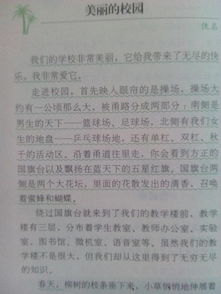 大學(xué)校園那些事作文600字