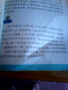 校園的一角作文100字二級