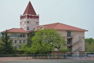 校園的皂角樹(shù)作文