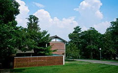 校園一角400字作文二小