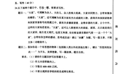 作文新的校園原來(lái)是這樣