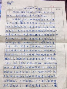 關(guān)于實(shí)驗二小的美麗的校園的作文,美麗的校園300字,美麗的校園作文400字四年級