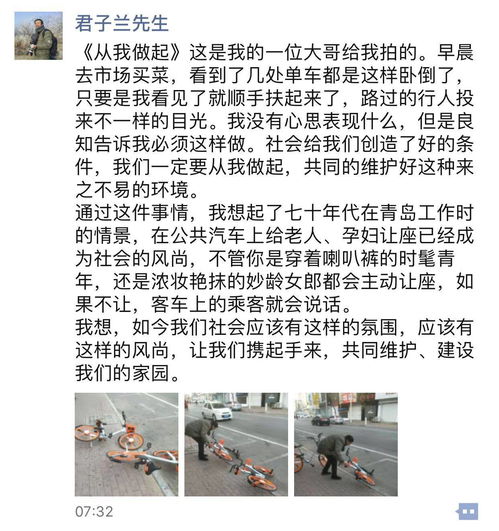 作文,愛(ài)護,校園,一草一木