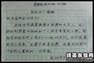 校園風(fēng)景線(xiàn)廣播稿作文300字