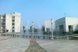 校園的一角作文圖書(shū)角,校園的一角—植物角作文,校園的一角衛生角作文