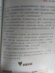 維護美麗校園作文800字