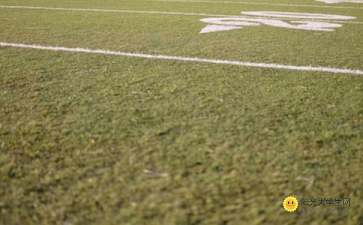 勝利校園的操場(chǎng)作文