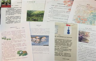 校園里精彩的活動(dòng)作文怎么寫(xiě)