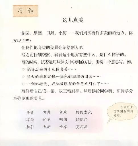 三級語(yǔ)文這兒真美校園作文