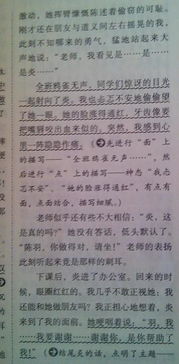 作文關(guān)于校園垃圾調查報告四百多字