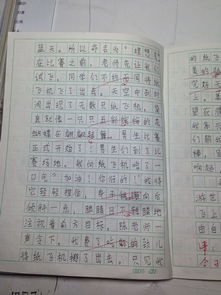 難忘的一件事在校園里難忘的一件事作文,校園里難忘的一件事作文600字,校園里難忘的一件事作文350字三年級作文