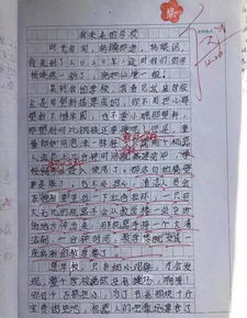 假如20后的校園是個(gè)什么樣子.想象作文_不少于300字.