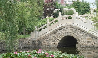 校園小導游作文400字作文大全