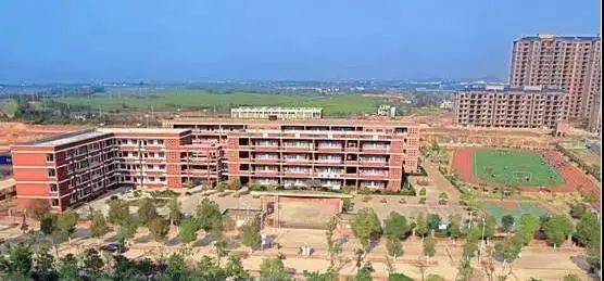 書(shū)香校園伴我成長(cháng)初二作文1000字