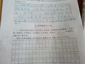 作文,校園,百字