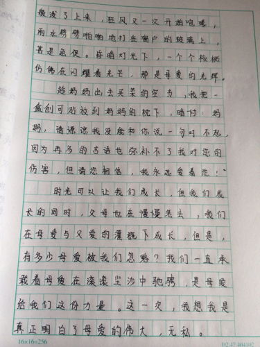 校園我們走過(guò)的地方作文怎么寫(xiě)