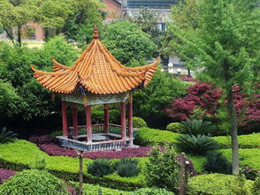 涼亭,作文,校園