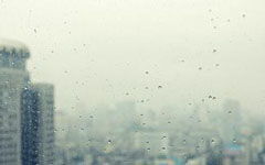 校園窗外的風(fēng)景作文600字,學(xué)校窗外的風(fēng)景作文400字,教室窗外的風(fēng)景作文400字