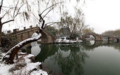 校園里的第一場(chǎng)雪作文500字